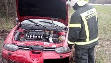 В Жуковском округе автомобиль врезался в дерево после вылета в кювет