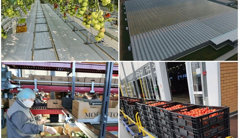 Владислав Шапша рассказал о привлечении кадров на село