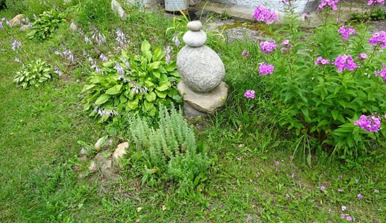 Мудрость в помощь