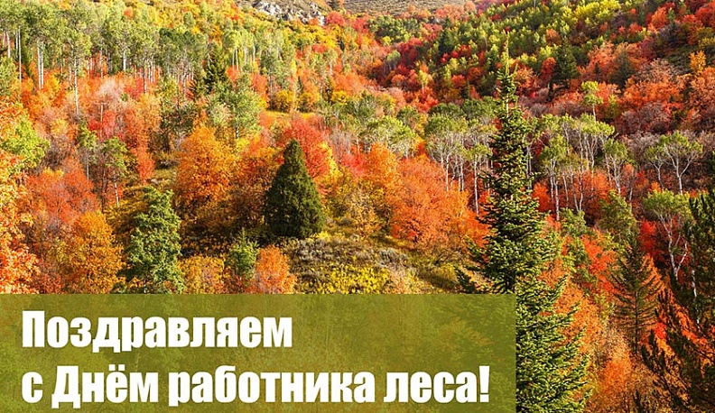 Сегодня профессиональный праздник работников леса