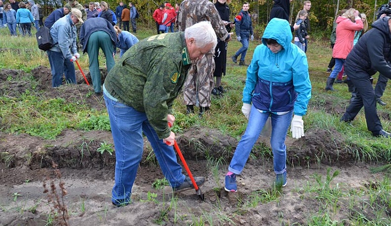 В Калужской области у лесников появились кусторезы и мечи