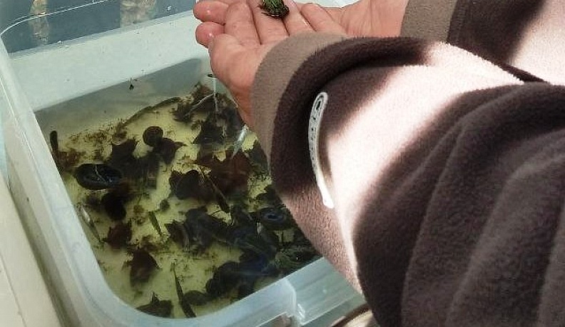 VIII экологический слёт состоялся в Барятинском районе