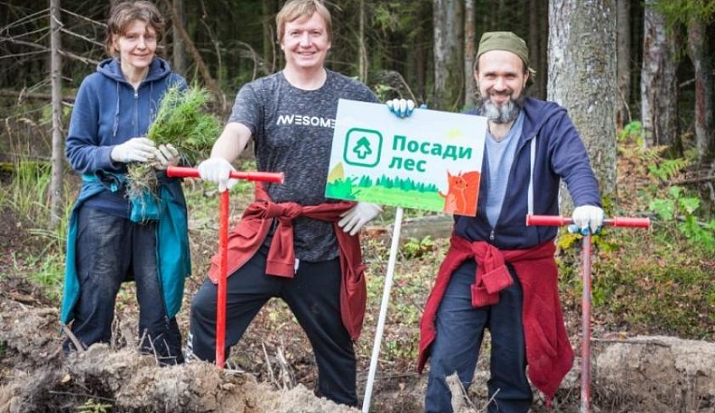 Калужских волонтёров приглашают посадить лес и получить награду