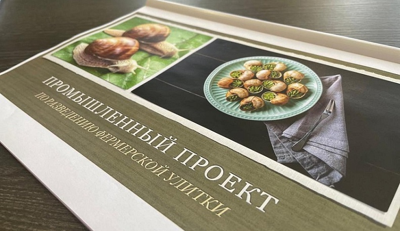 В Тарусе откроют ферму по разведению съедобных улиток