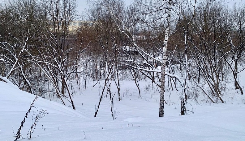 В Калугу снова грядут морозы