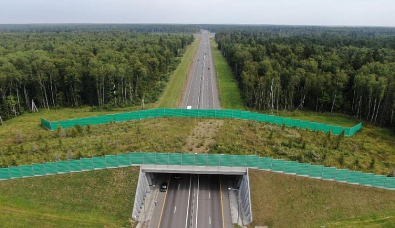 В Калужской области экологи пытаются привлечь больше зверей на экодук