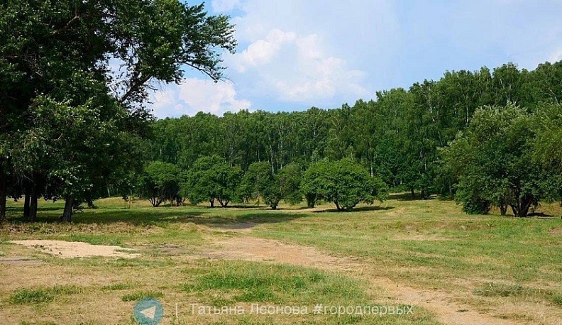 Обнинский пляж преобразуют в креативное пространство