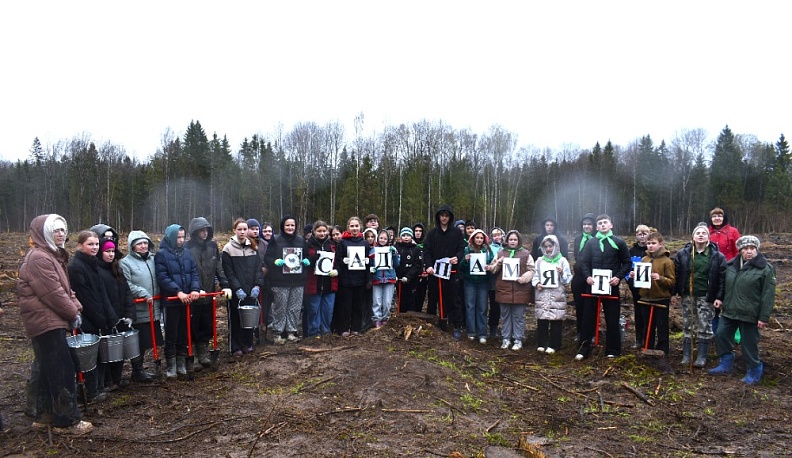 В Кирове высадили «Сад Памяти» из четырёх тысяч деревьев