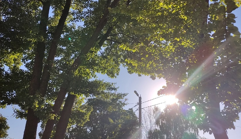 В Калуге установится солнечная, но прохладная погода