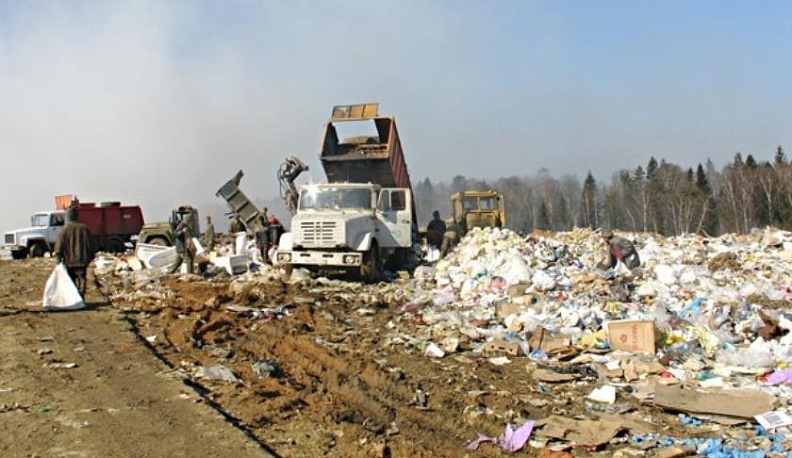 Как помочь природе