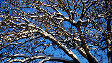 В Калужской области весна начнется с потепления и гололедицы 