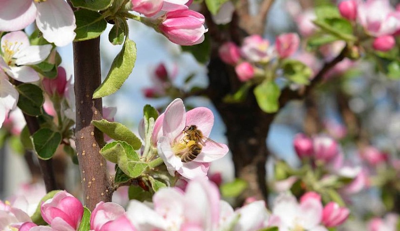 Школьники из Обнинска победили в фотоконкурсе «Росэнергоатома»