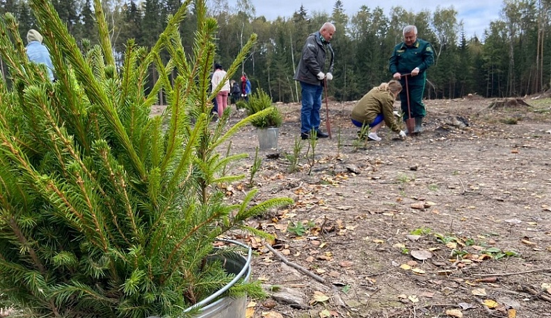 Калужане высадят около 170 тысяч деревьев в "Сад Памяти"