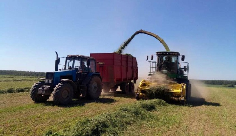 Гармония с природой