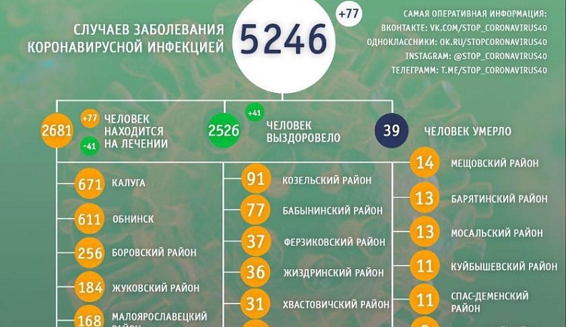 В Калужской области обновлена статистика по коронавирусу 