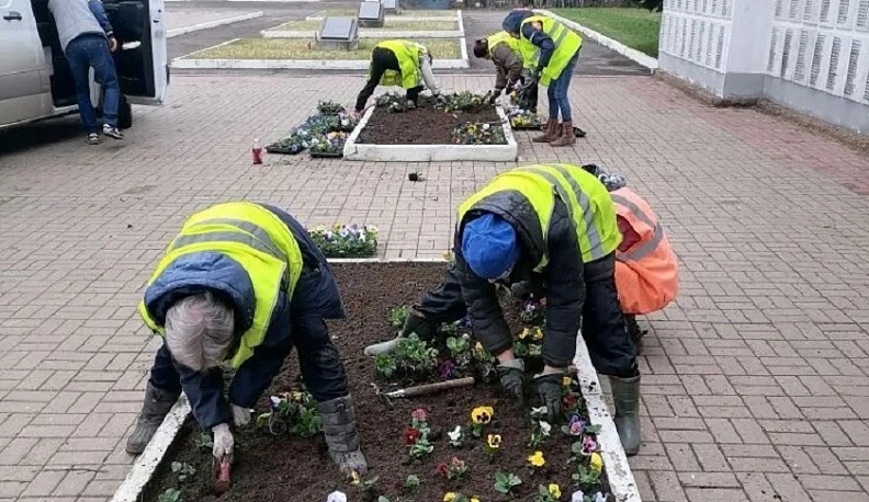 В Калуге начали высаживать весенние цветы