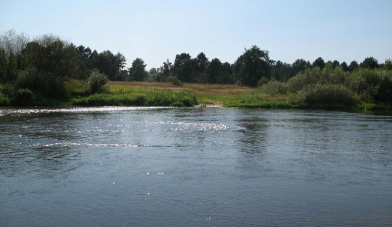 Общая стоимость работ по расчистке реки Жиздра в Калужской области составит более 13 миллионов рублей