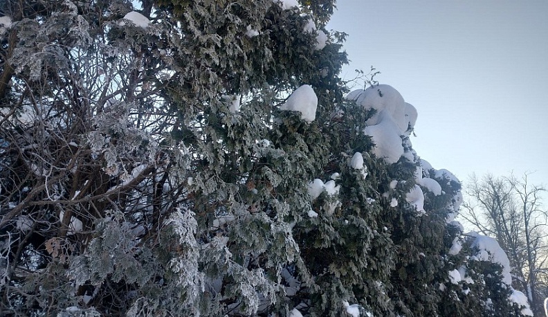В Калуге продолжает держаться минусовая температура
