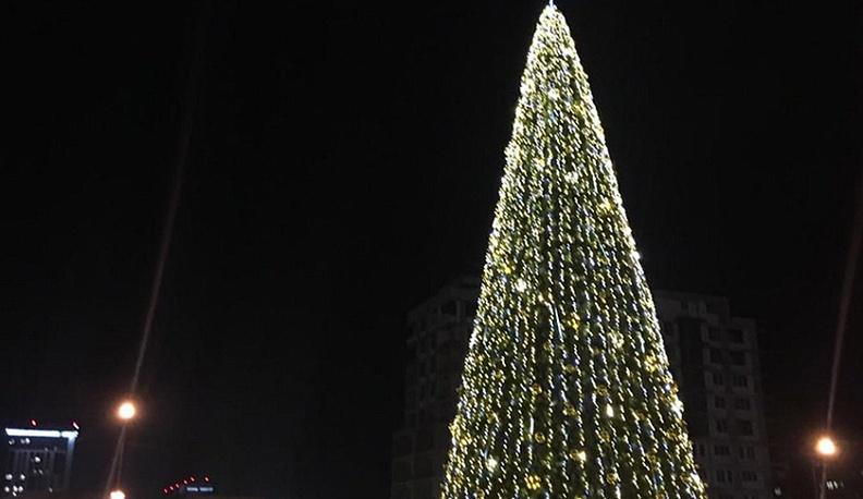 Городская администрация Обнинска попросила горожан не забирать украшения с городских елок