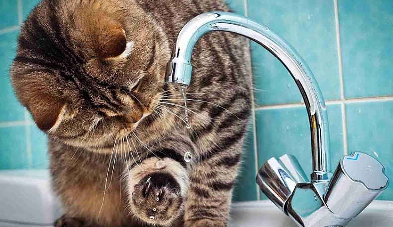 В субботу в Калуге на двух улицах отключат воду