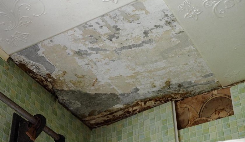 Сколько крови портит кровля?