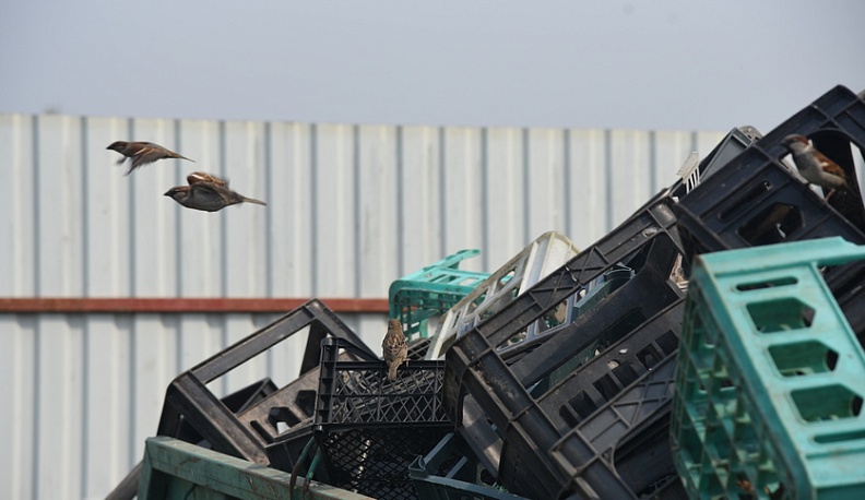 Контракт с перевозчиком мусора в нескольких районах Калужской области расторгли после жалоб местных жителей