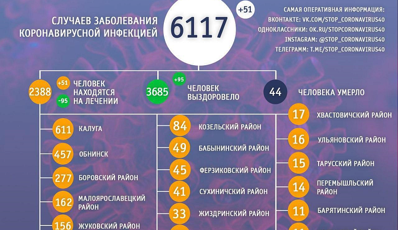 В Калужской области подтверждено 6117 случаев заражения коронавирусом