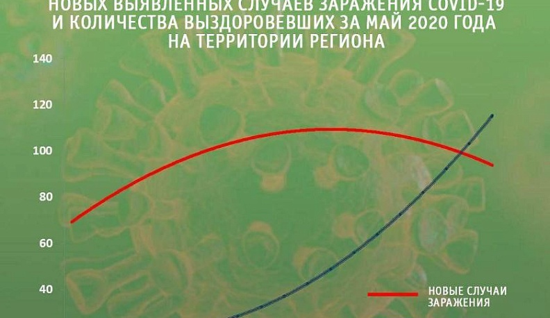 Владислав Шапша опубликовал графики изменения коронавирусной ситуации в Калужской области
