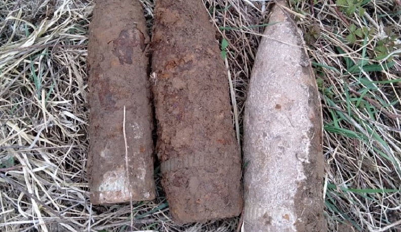 В Калужской области обезвредили семь снарядов времен Великой Отечественной войны
