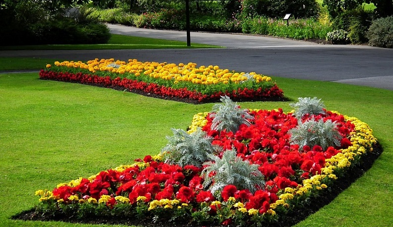 В Калуге к юбилею высадят тематические цветники