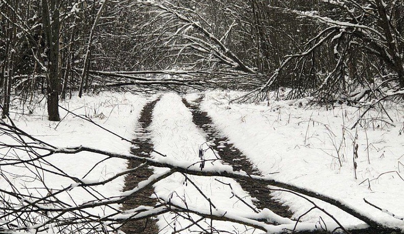 В Думиничском районе расчищать завалы энергетикам помогает лесопожарная служба