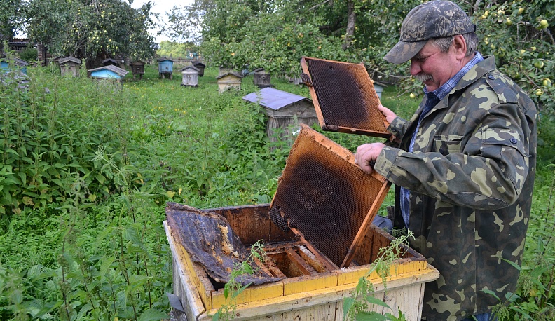 Несладкий год