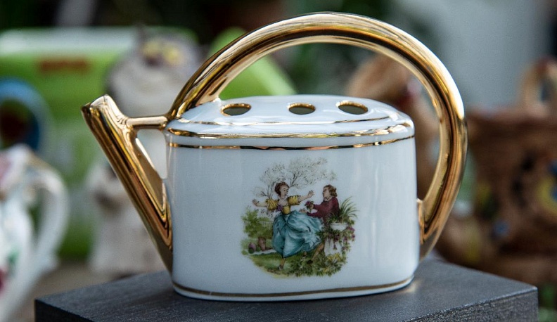 Сказки из лейки