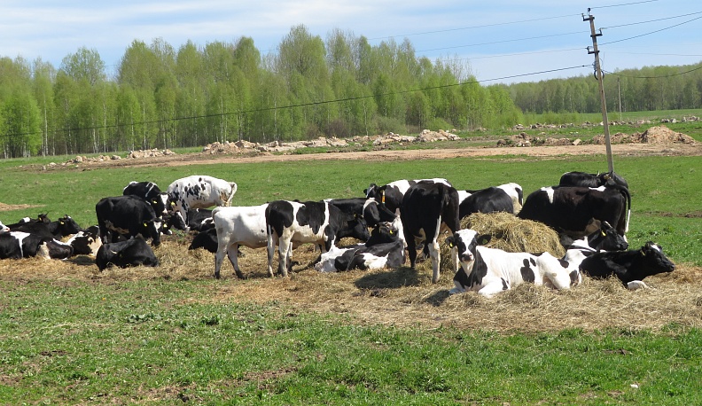 Вешний день год кормит