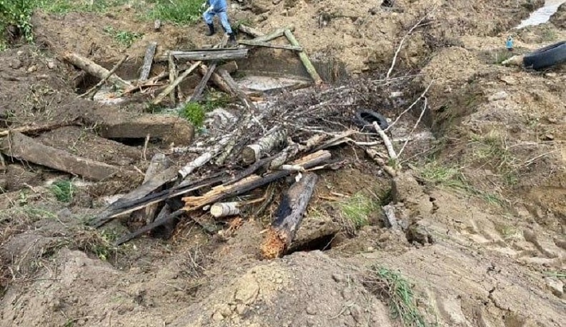 16 скотомогильников планируется ликвидировать в Калужской области за 2026 год