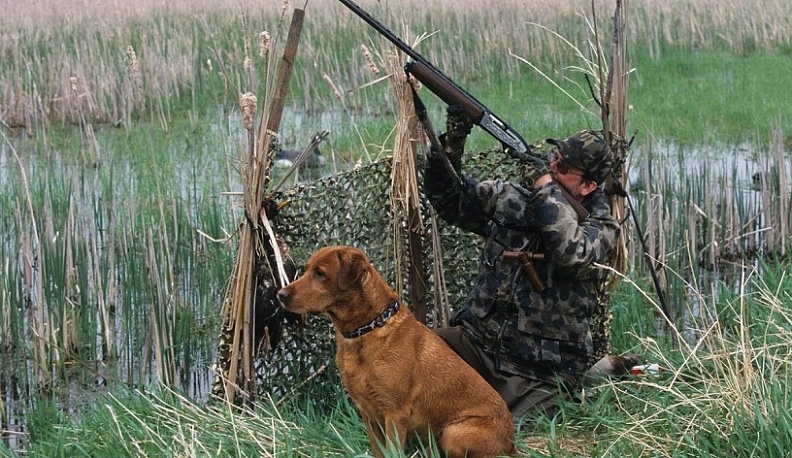 В Калужской области сдвинули даты весенней охоты 