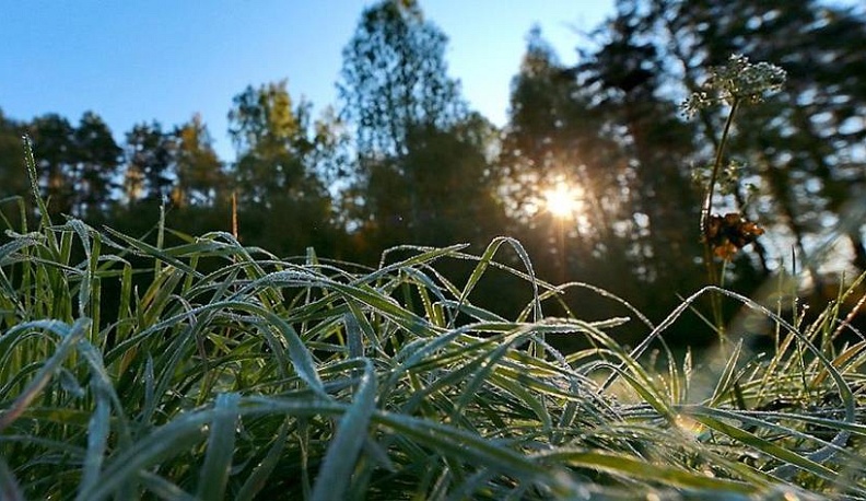 МЧС предупреждает о заморозках в Калужской области