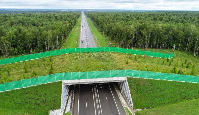 В Калужской области объявлены победители конкурса стихов на экологическую тему