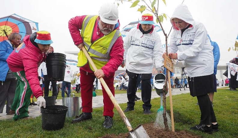 Сказка черешневого леса