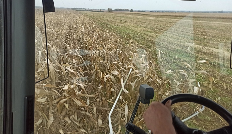 В Жуковском районе собрали более 18 тысяч тонн зерновых