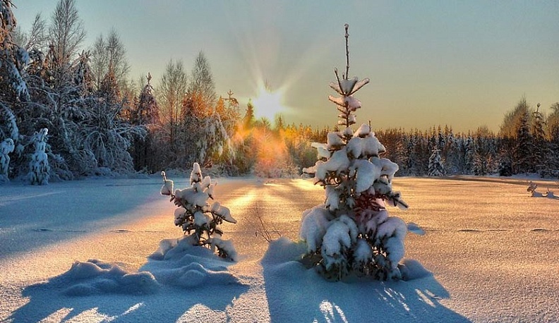 К концу недели калужан ждет усиление морозов
