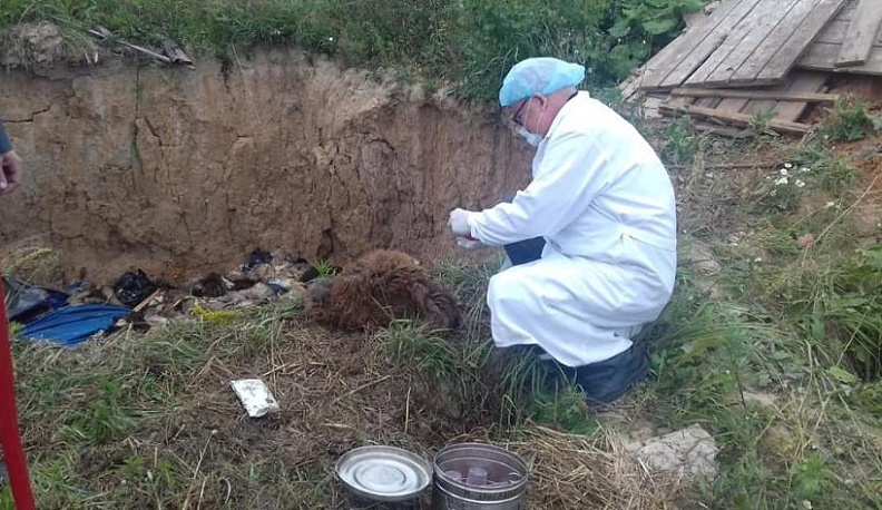 «Участок мой – что хочу, то и делаю!»