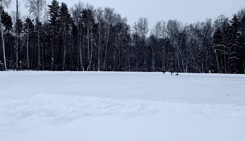 Завтра в Калужской области будут праздновать день снега
