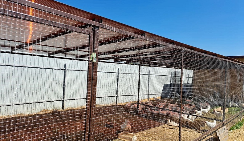 Родители участника СВО из Тарусы оформили соцконтракт на подсобное хозяйство