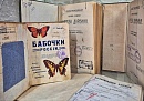 Немецкие захватчики сожгли в Калуге почти 80 тысяч книг