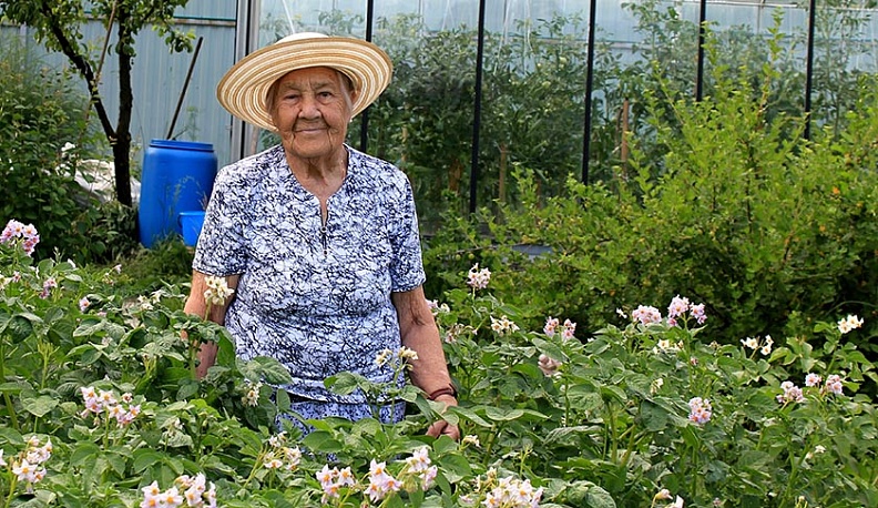 Жизнь для «Сказки» и «Удачи»