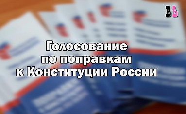 Владислав Шапша и Дмитрий Разумовский приняли участие в Общероссийском голосовании