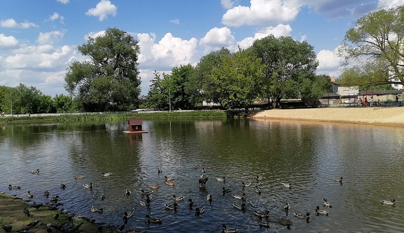 Калужским уткам вернули дом