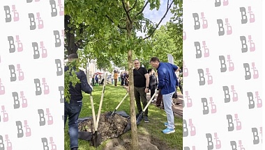 Калужская делегация поучаствовала в высадке аллеи в преддверии ПМЭФ