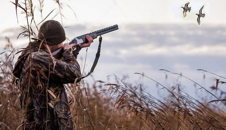 Калужанин незаконно охотился на птиц